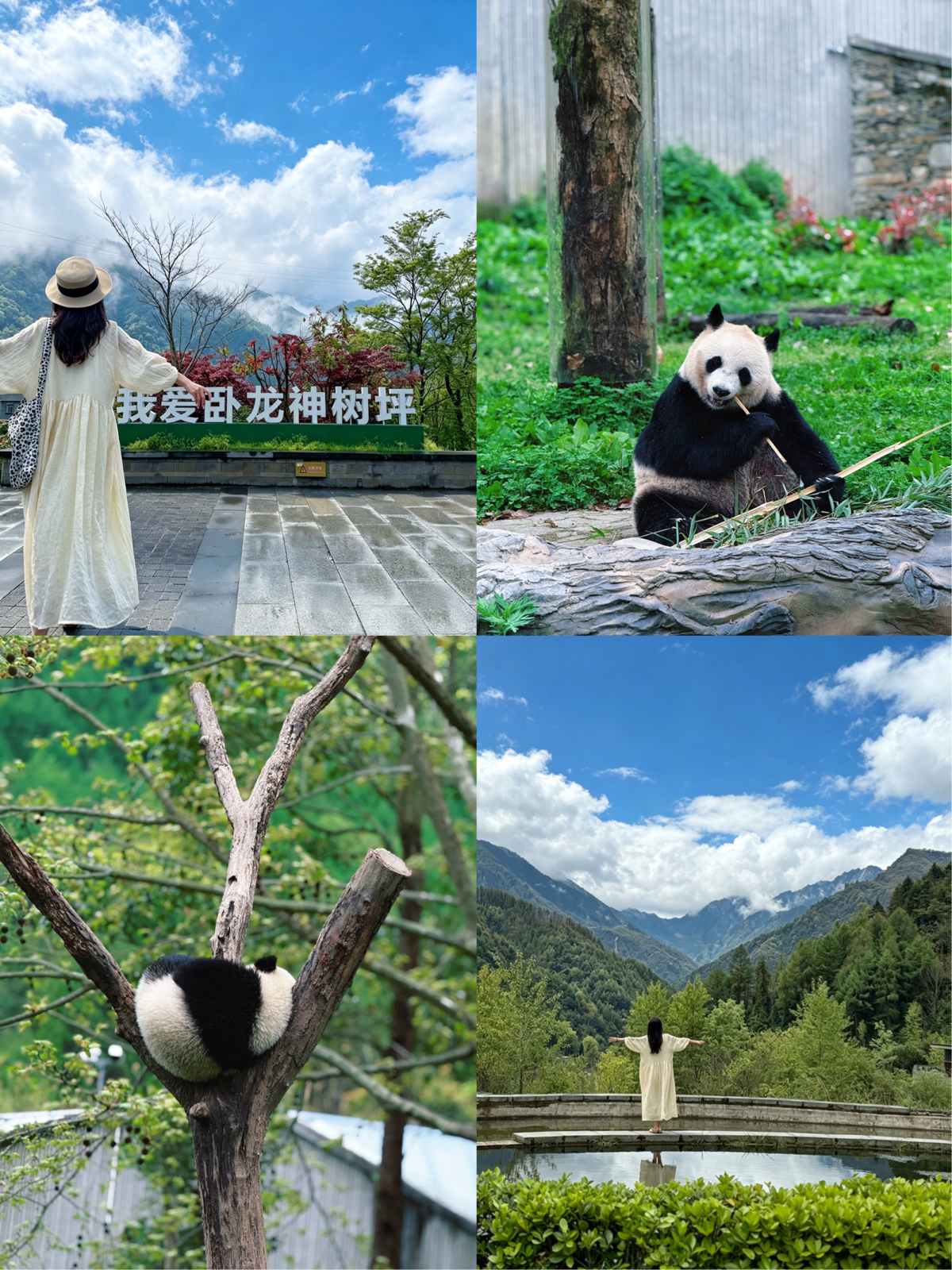 成都卧龙居实拍图