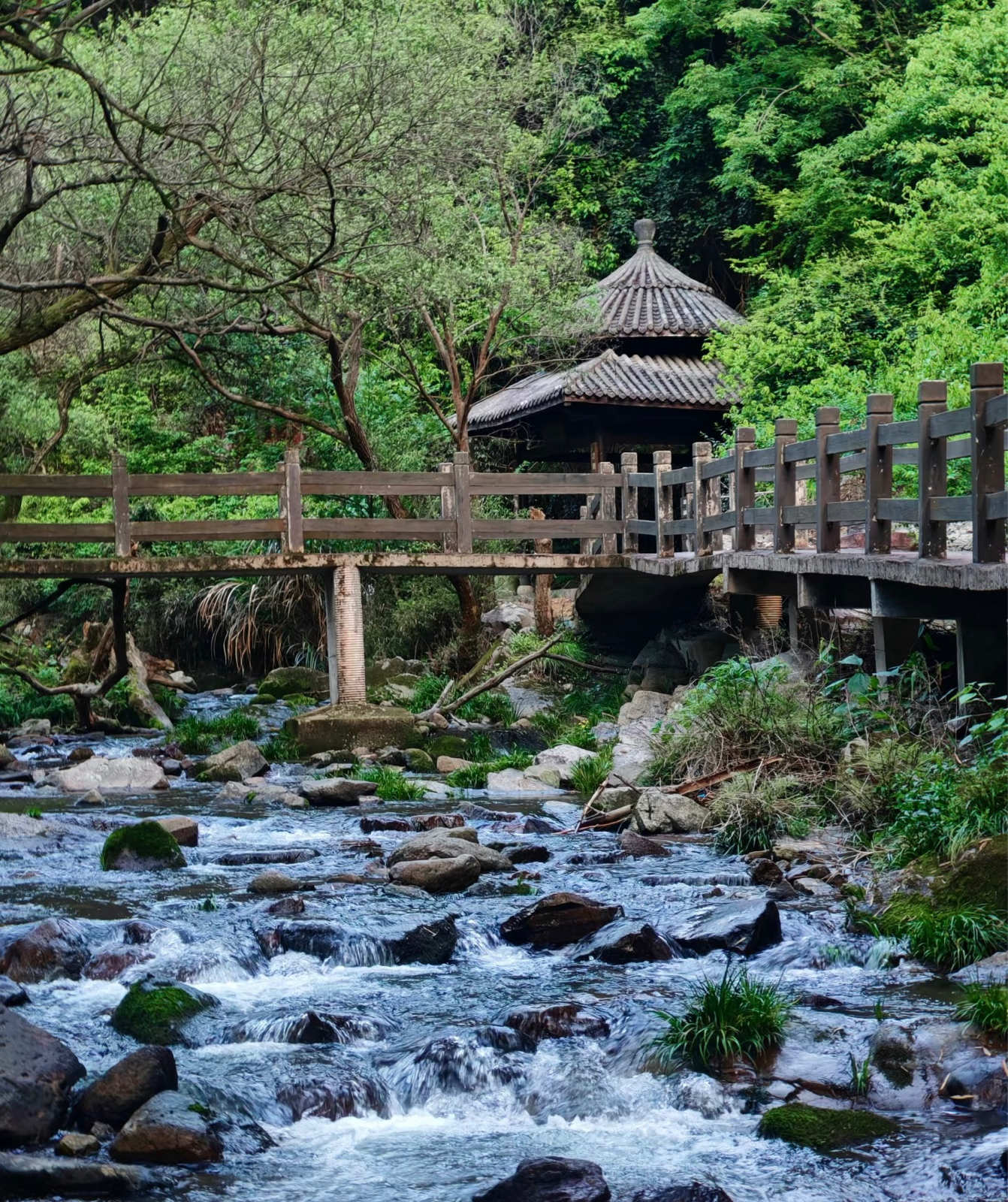 金华义乌大陈镇北山村实拍图