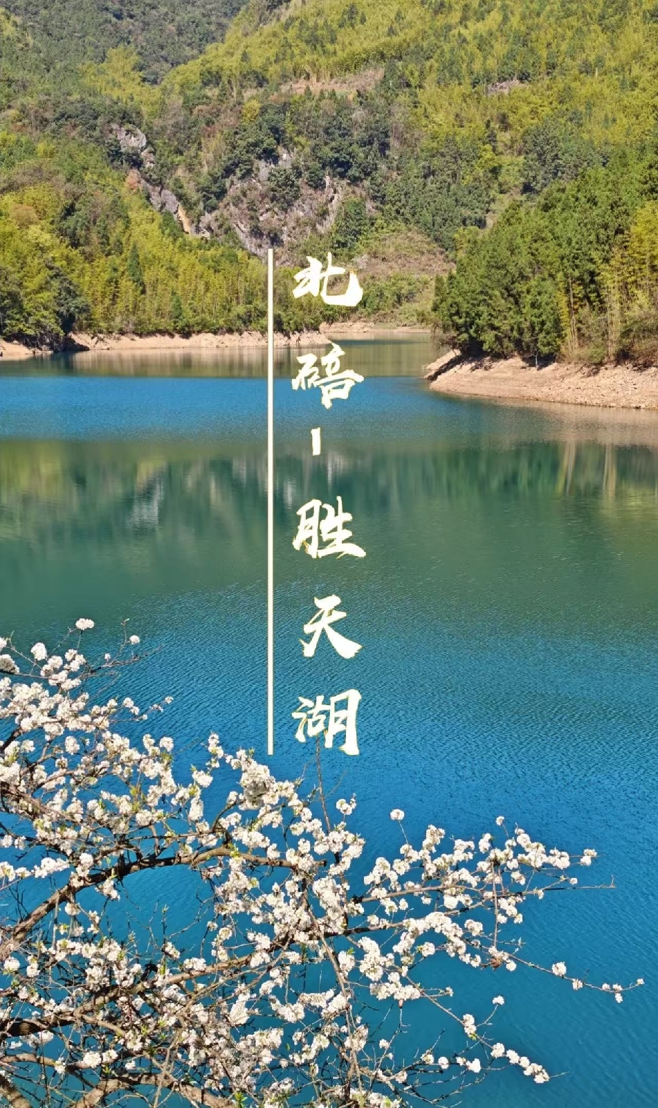 重庆实拍图