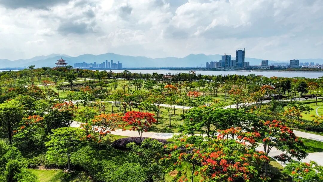 厦门海沧慢道实拍图