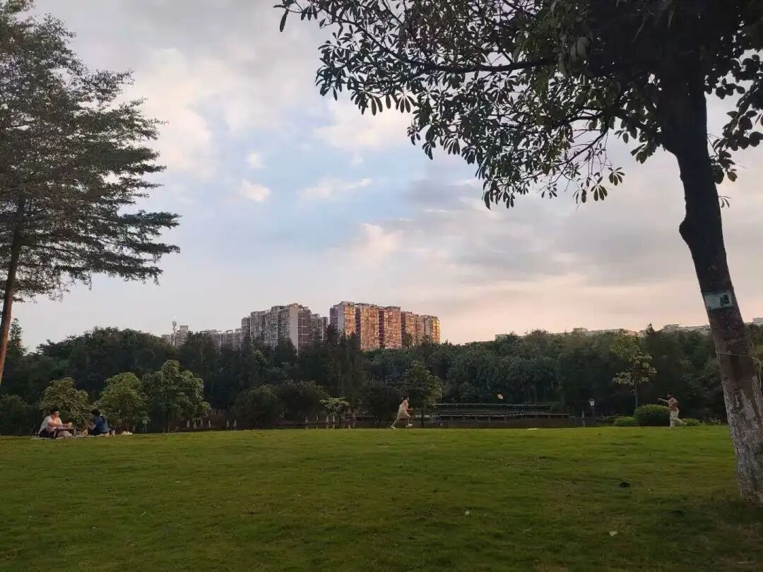 厦门风景湖公园实拍图