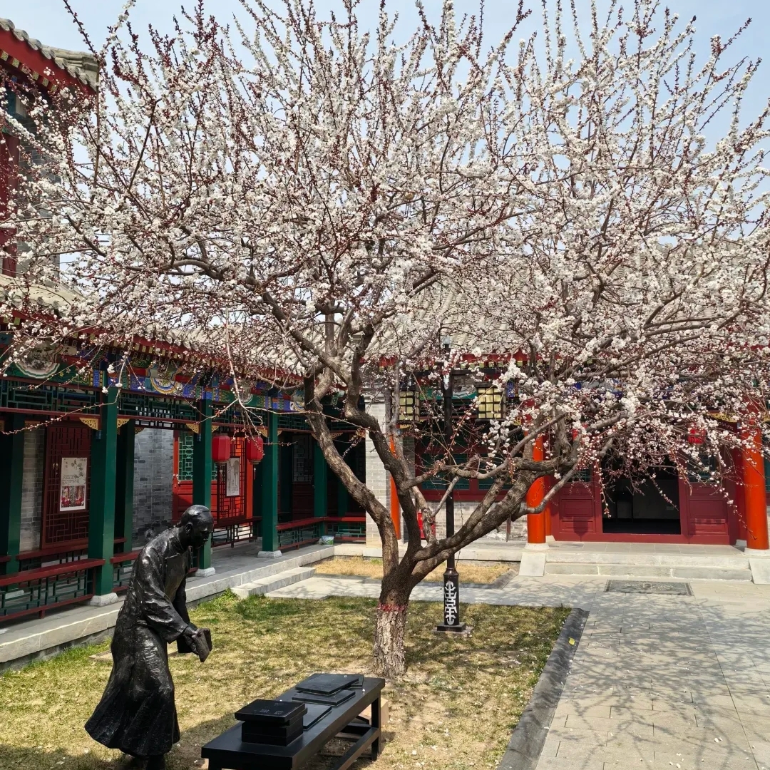 定州古城实拍图1