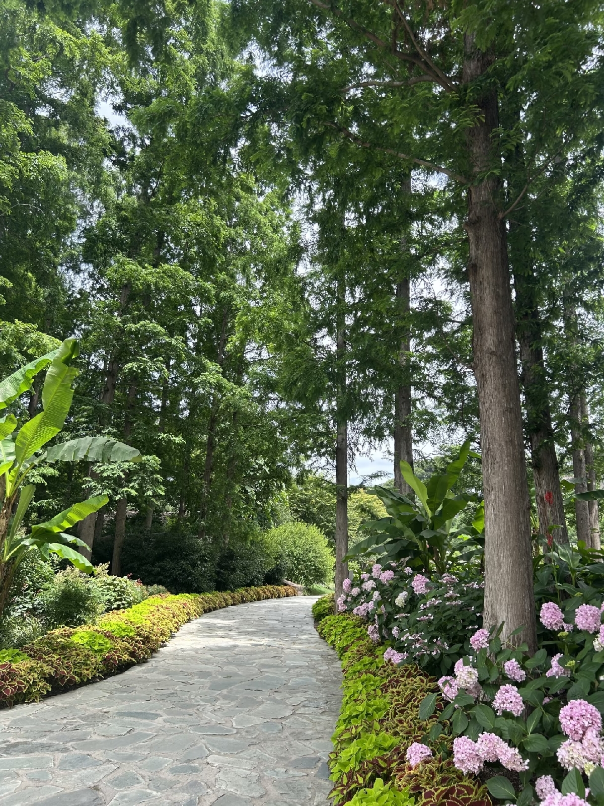 上海辰山植物园实拍图