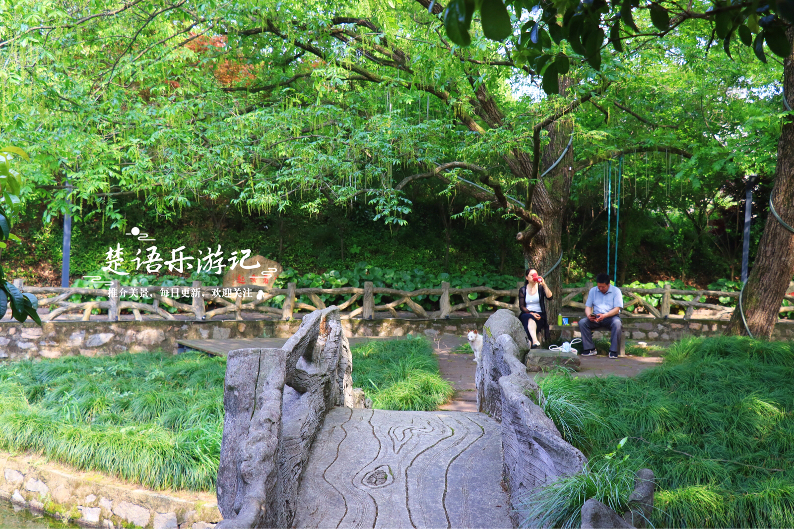 宁波西坞街道实拍图