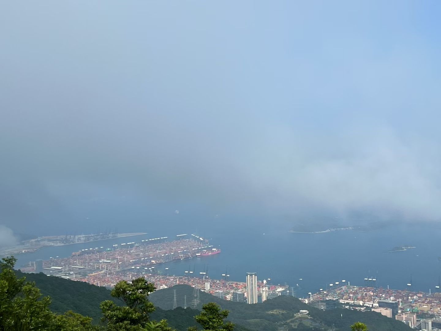 深圳大梧桐广场实拍图