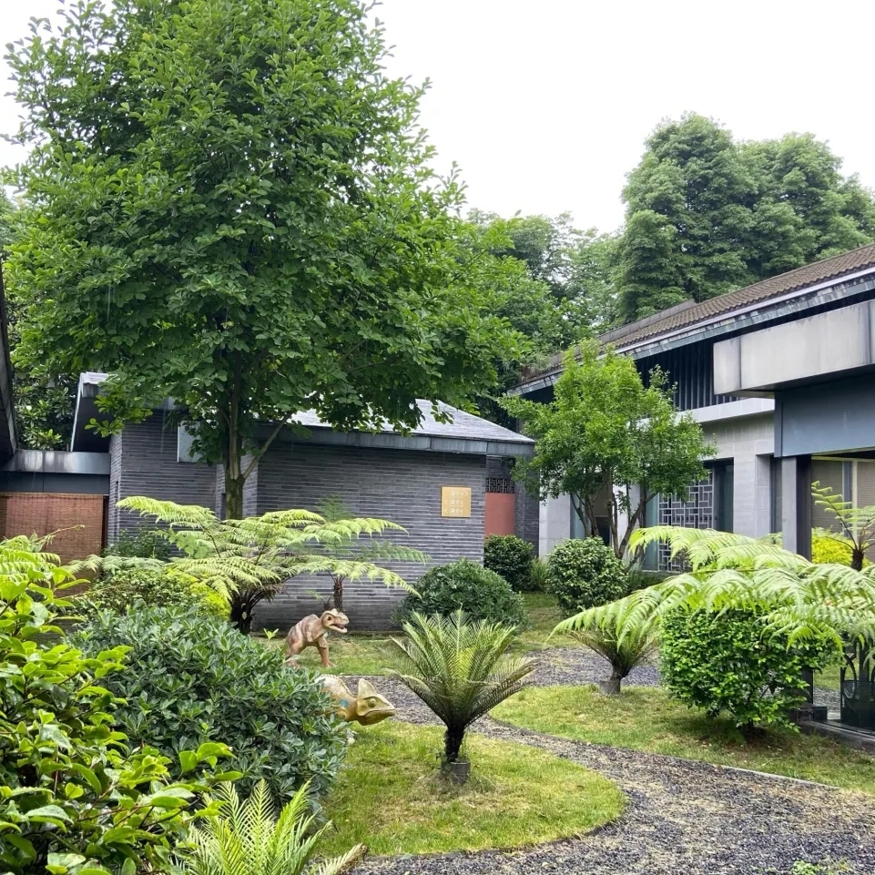 都江堰青城山实拍图