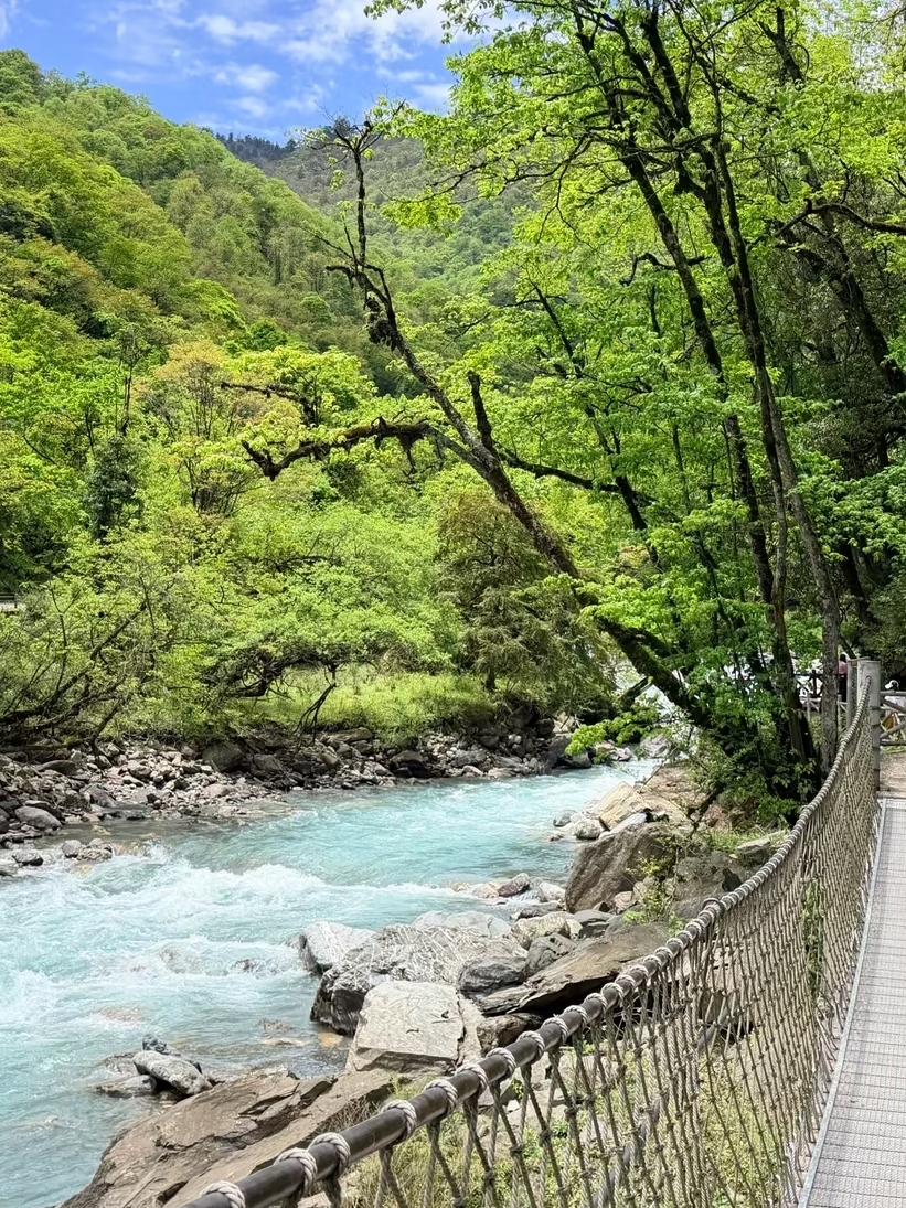 天全二郎山喇叭河风景区实拍图