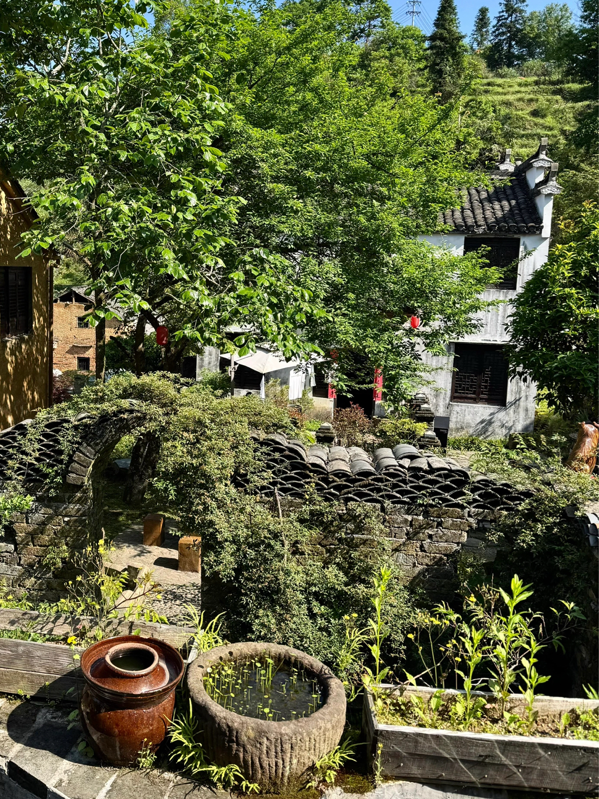 歙县实拍图