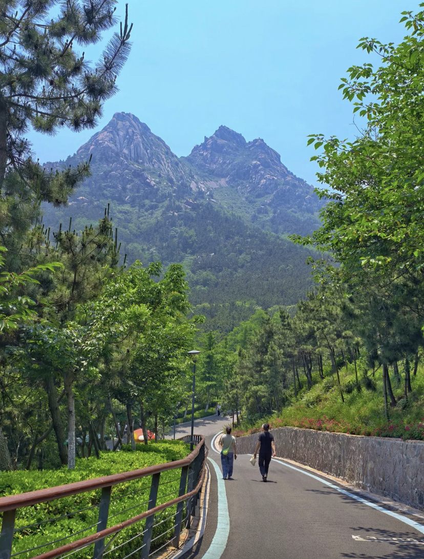 沂南青岛实拍图