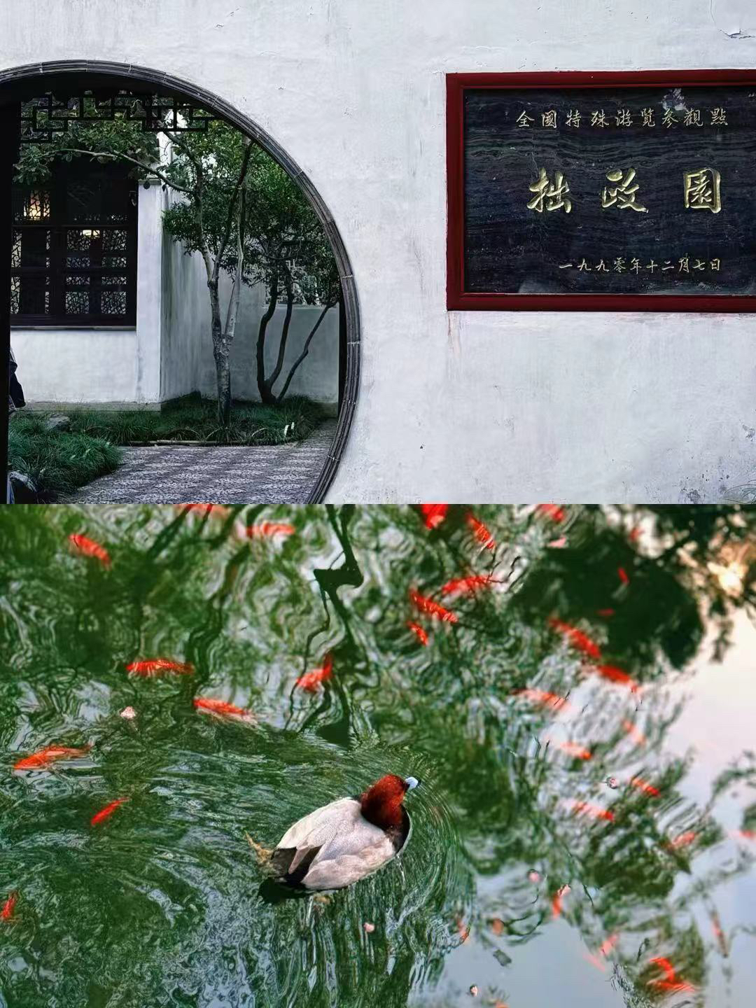苏州石路步行街实拍图