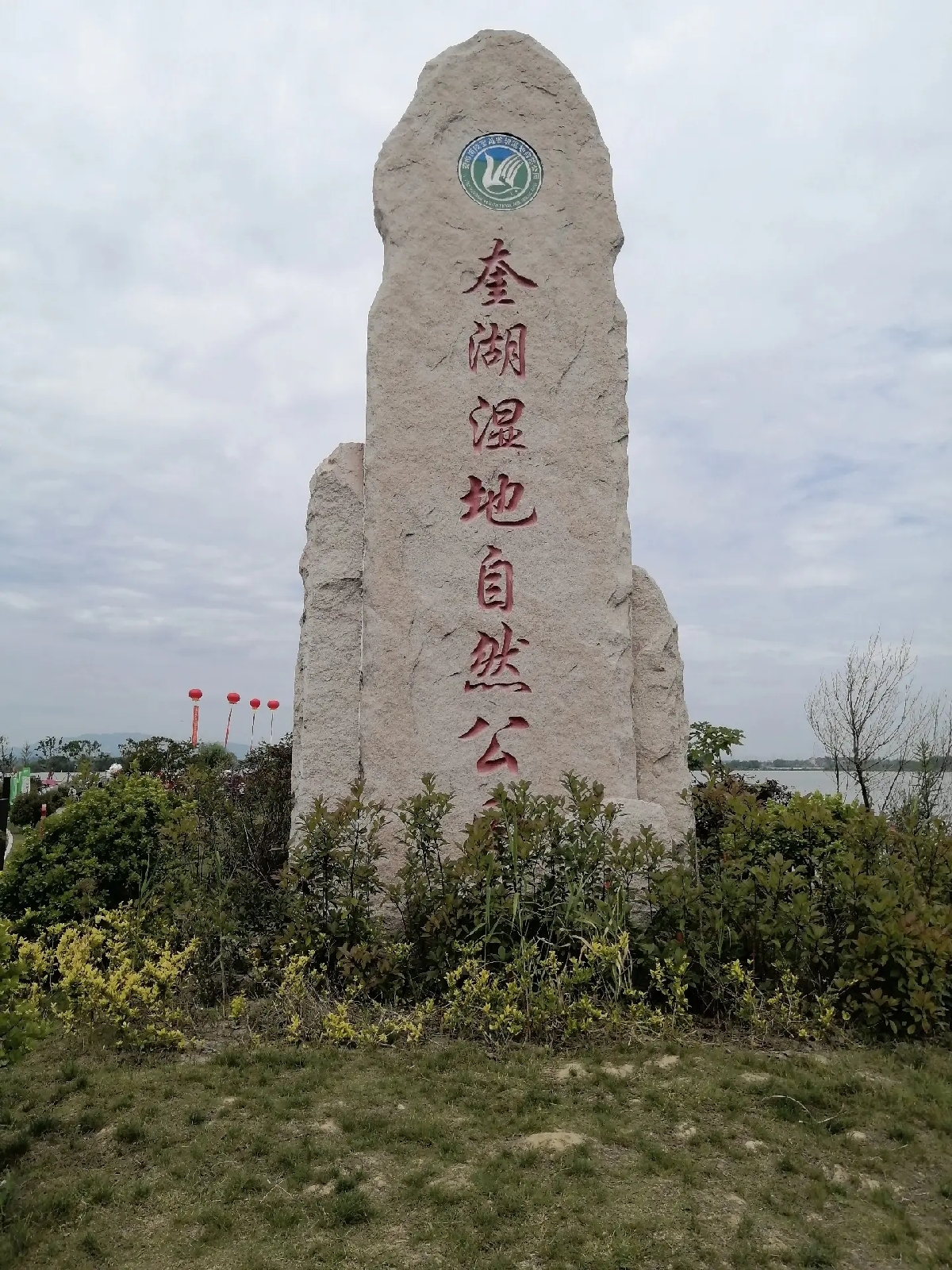 南陵奎湖湿地公园实拍图