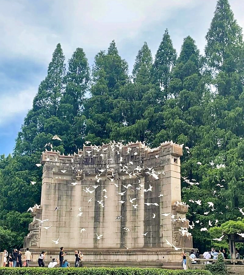 南京实拍图