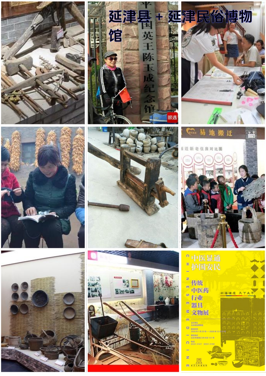 延津县花海公园实拍图7