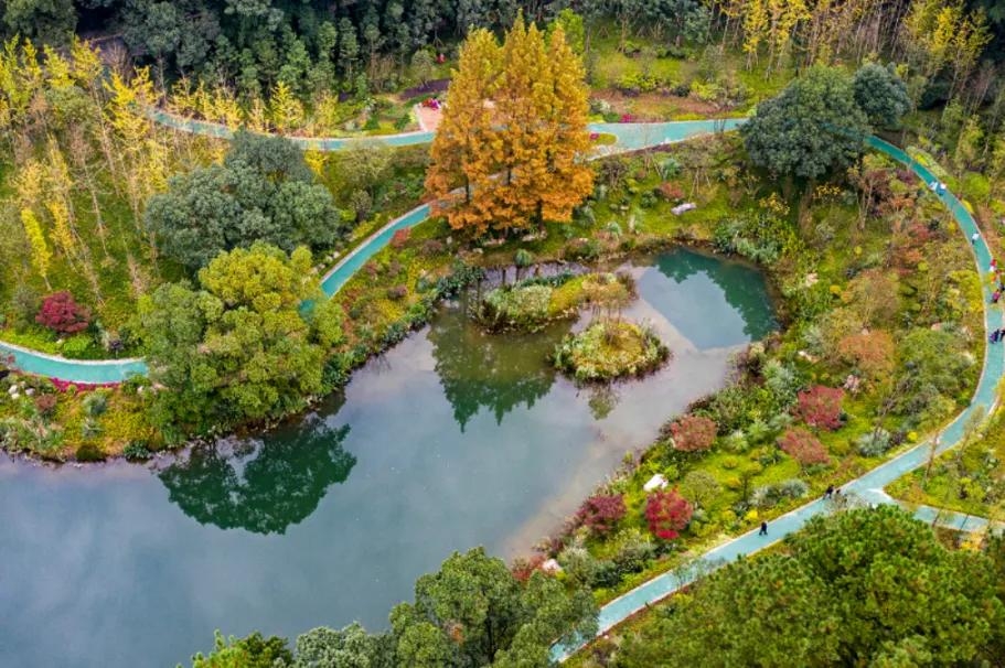 重庆黛湖实拍图