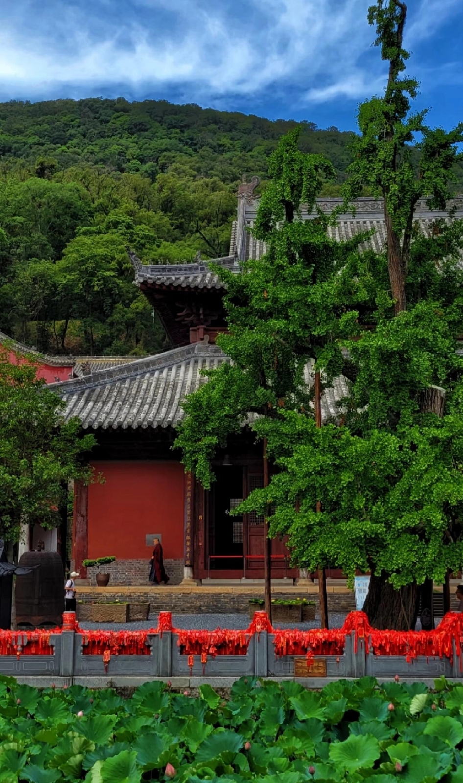 当阳玉泉山风景区实拍图