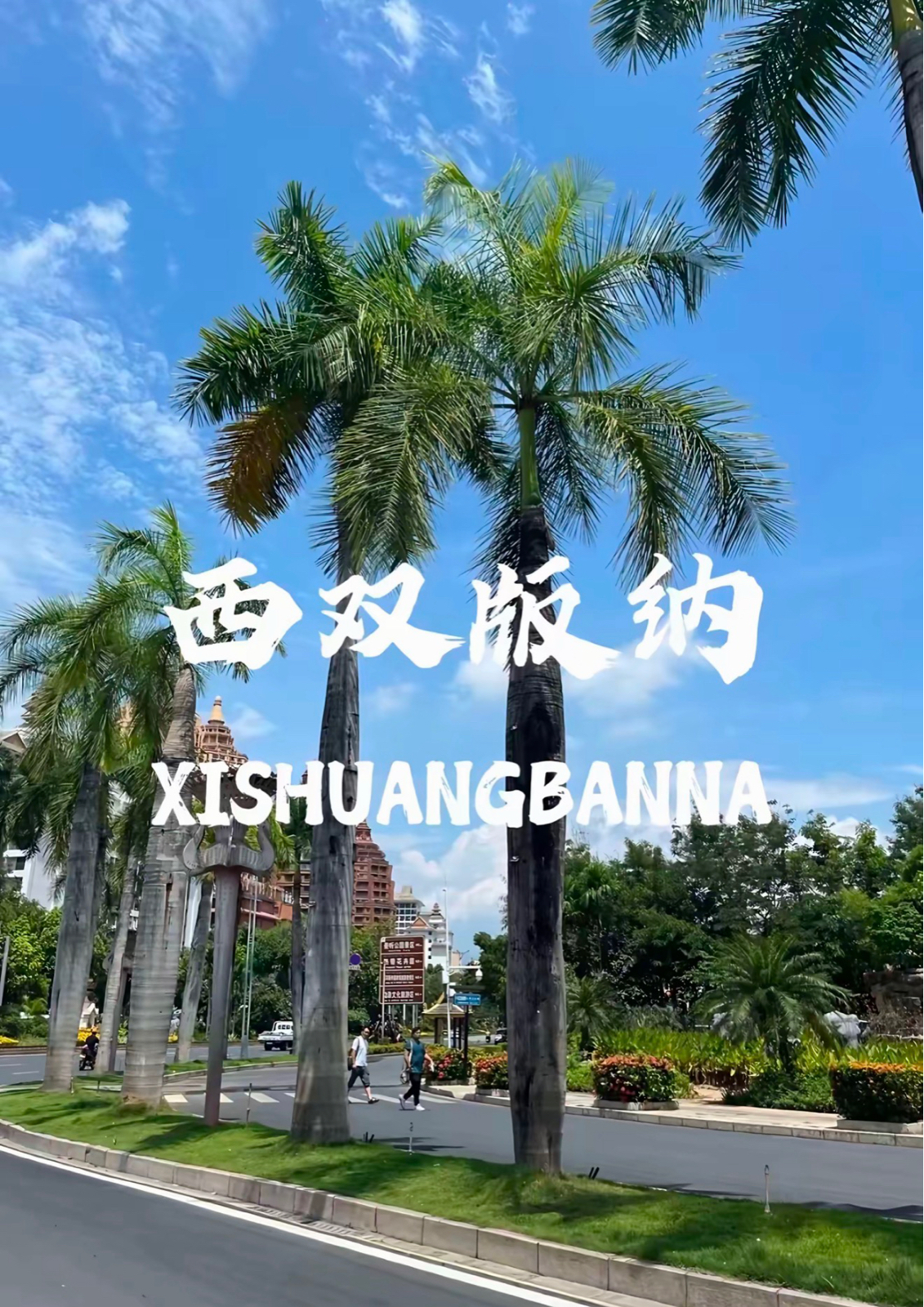 西双版纳实拍图