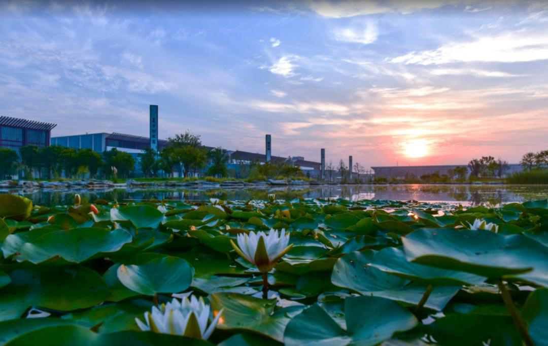 东阿实拍图