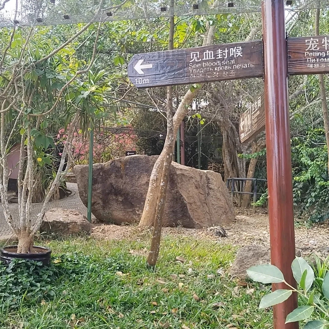三亚天行森林公园实拍图
