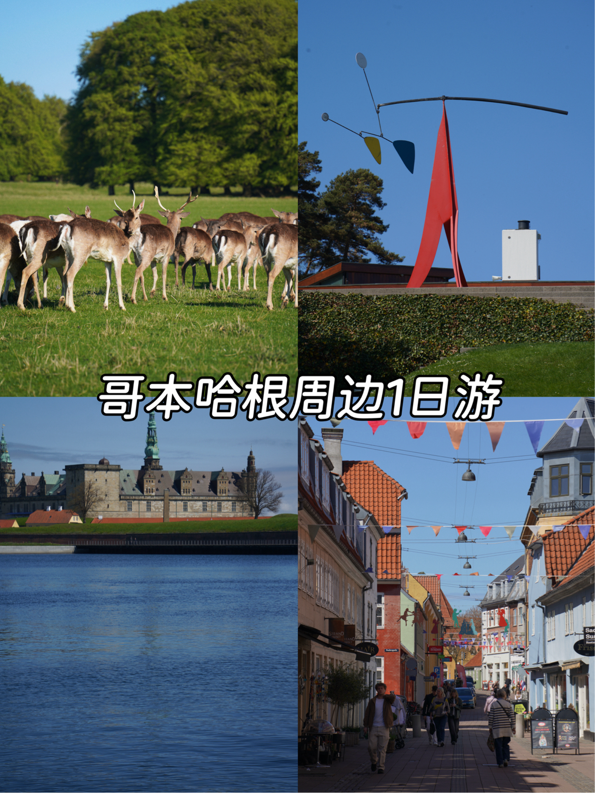 赫尔辛格哥本哈根实拍图