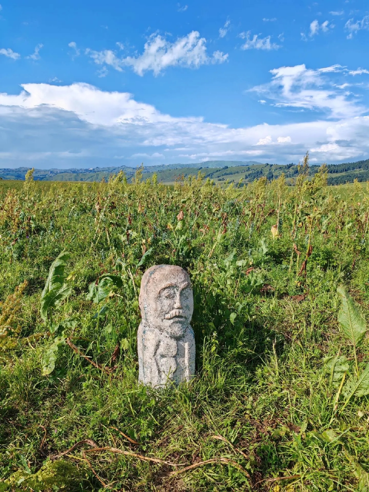 昭苏草原石人风景区实拍图
