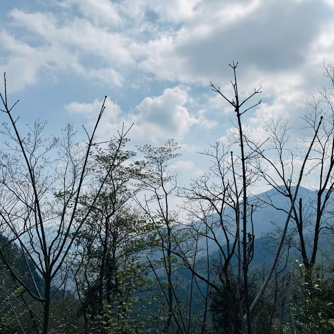 都江堰赵公山景区实拍图