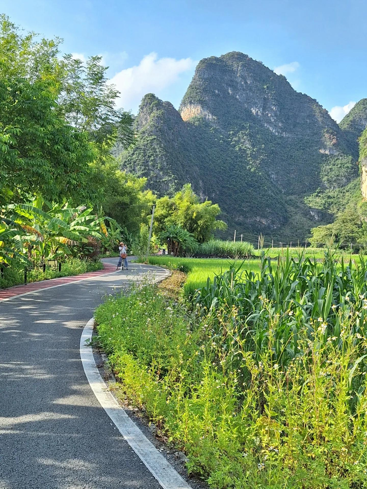 大新明仕田园实拍图