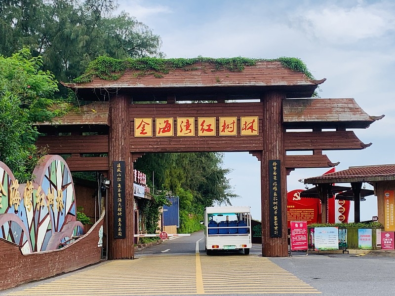 北海金海湾红树林生态旅游区-竹筏实拍图