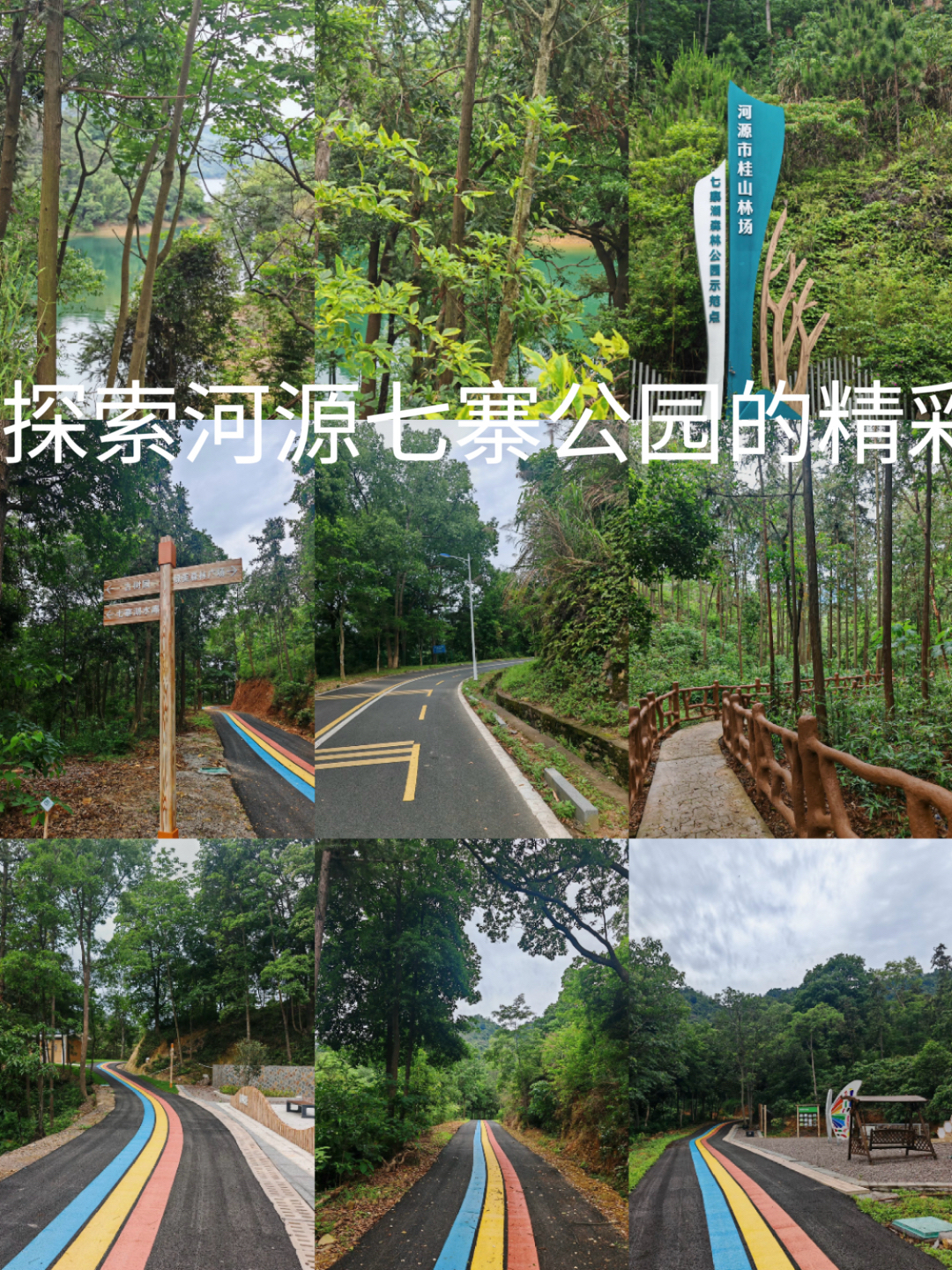 河源万绿湖环湖道实拍图
