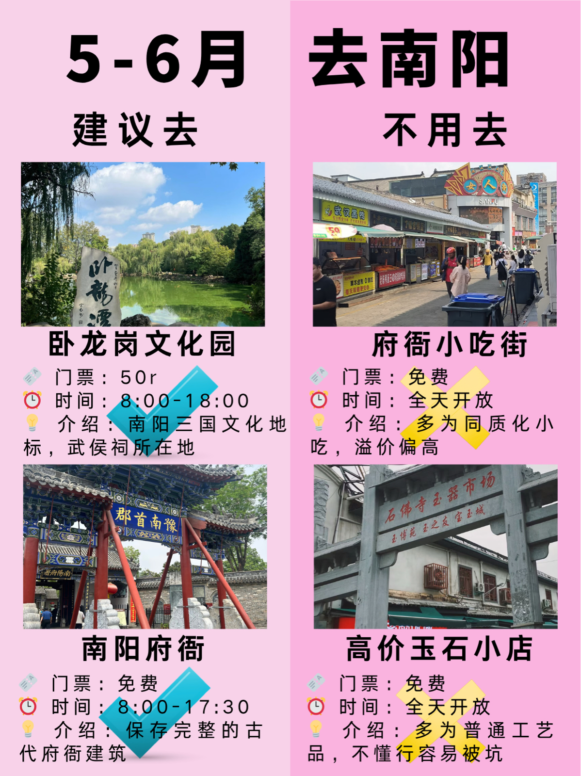 南阳月季大观园实拍图
